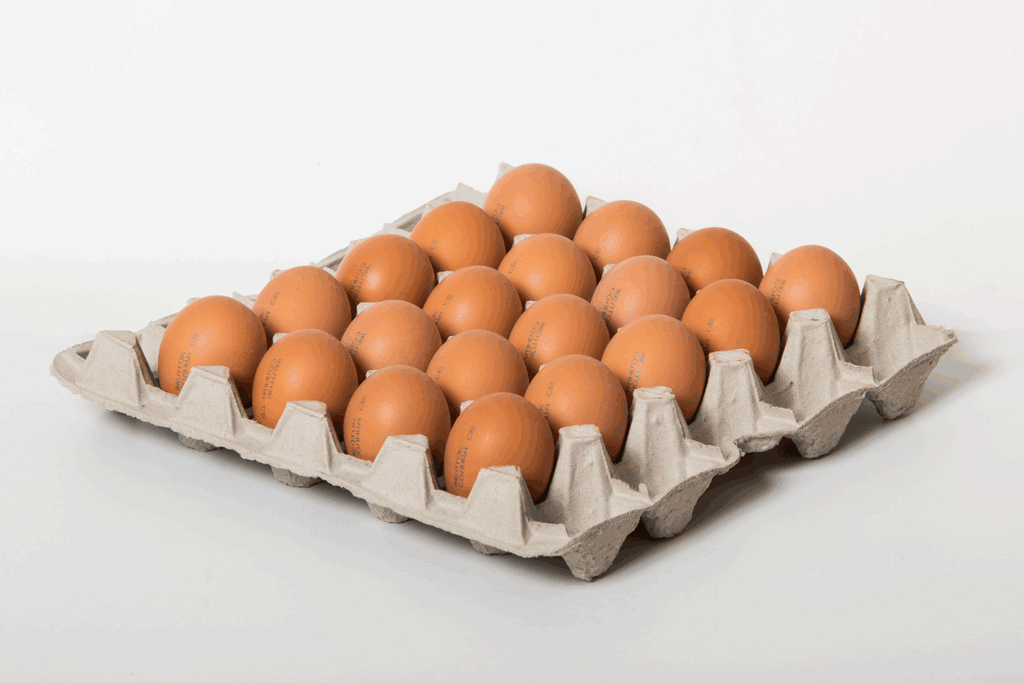 Яйцо оптом от производителя. Каретка яиц. Яйцо 30 шт. Коробка яйца 360 шт. Яйцо отборное (птицефабрика Оренбургская) 360шт.